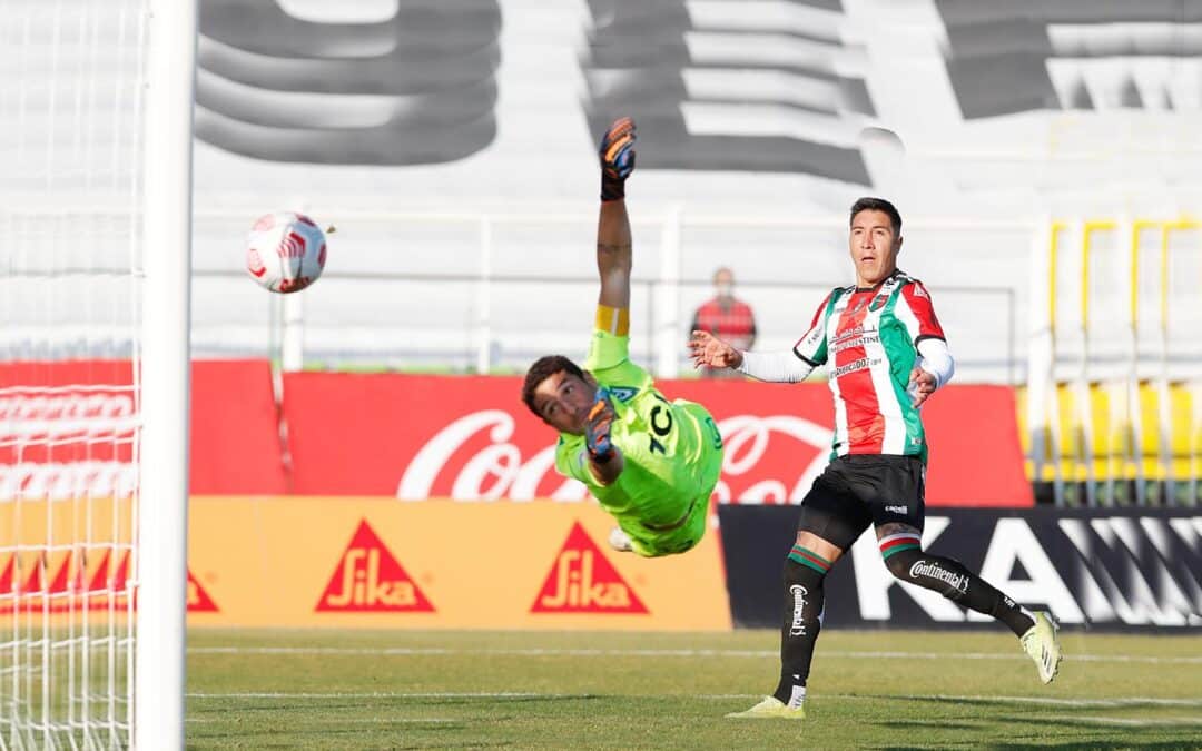 Palestino venció a Santiago Wanderers y se aleja del fondo de la tabla